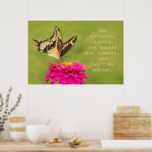 Poster Nombre de papillons (Cuisine)