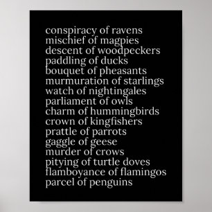 Poster Nombres collectifs d'oiseaux Noir et Blanc