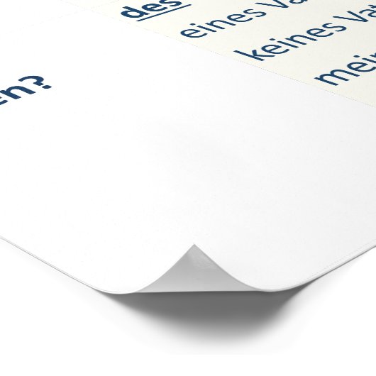 Poster - Nomendeklination (N-A-D-G / m-f-n-pl) (Coin)