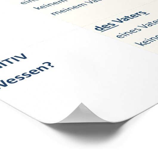 Poster - Nomendeklination (N-A-D-G / m-n-f-pl) (Coin)