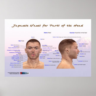 Poster Noms japonais pour les parties de la tête