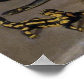 Poster non défini (Coin)