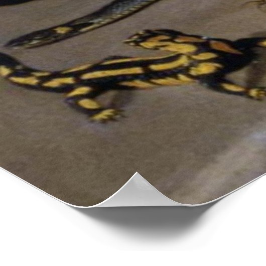 Poster non défini (Coin)