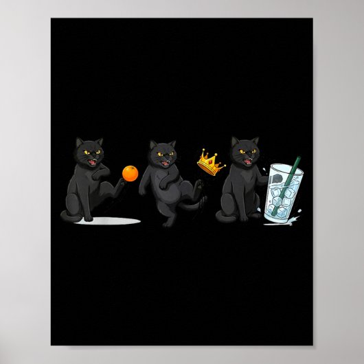 Poster Non, pas de rois, pas de chat de glace mème politi (Devant)