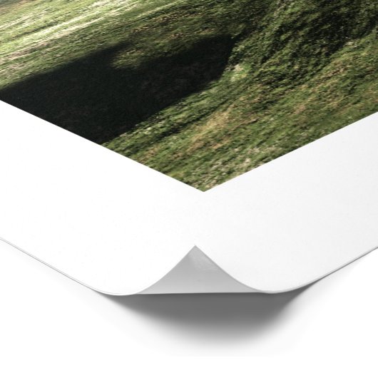 Poster Non touché (Coin)