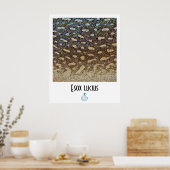 Poster Noordelijke Pike FFF (Keuken)