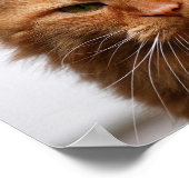 Poster Noorse boskat (Hoek)