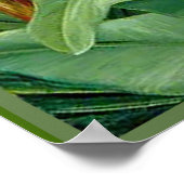 Poster Nord - Beautés des marais, art botanique (Coin)