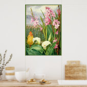 Poster Nord - Beautés des marais, art botanique (Cuisine)