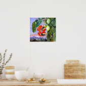 Poster Nord - Feuillage Et Fruits De Sterculia Parviflora (Cuisine)