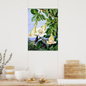 Poster Nord - Foliage et Fleurs d'un Américain tropical (Cuisine)