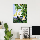 Poster Nord - Foliage et Fleurs d'un Américain tropical (Bureau à domicile)