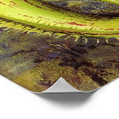 Poster Nord - Nepenthes Iana 1876 (Coin)