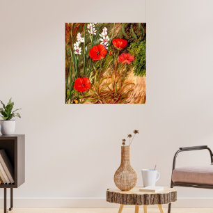 Poster Nord - Un Sundew sud-africain