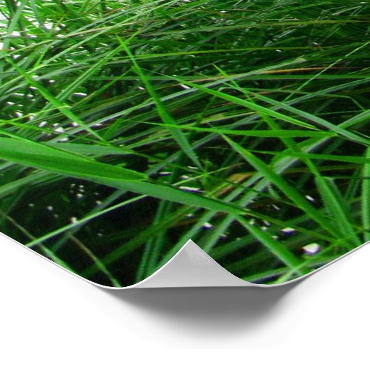 Poster Norfolk Broads (Coin)