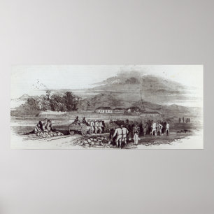 Poster Norfolk Island