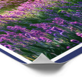 POSTER NORFOLK LAVENDER - LAVENDER FIELD NORFOLK ANGLETER (Coin)