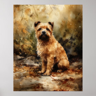 Poster Norfolk Terrier Dog Art Imprimer l'affiche