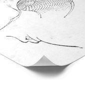 Poster Norman Knight (Coin)