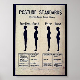 Poster Normes de posture