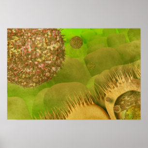 Poster Noroviruses dans l'appareil gastro-intestinal