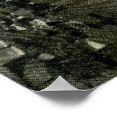 Poster North Street, Pittsfield 1912 Vintage (Coin)