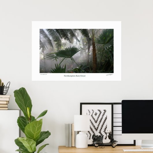 Poster Northampton Rain Forest I (Bureau à domicile)