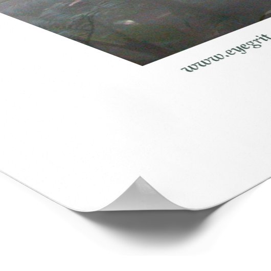 Poster Northampton Rain Forest I (Coin)