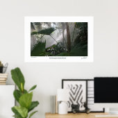 Poster Northampton Rain Forest II (Bureau à domicile)