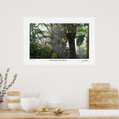 Poster Northampton Rain Forest III (Cuisine)