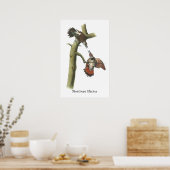 Poster Northern Flicker, John Audubon (Cuisine)