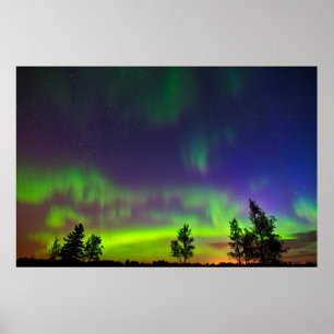 Poster Northern Lights   Manitoba Canada