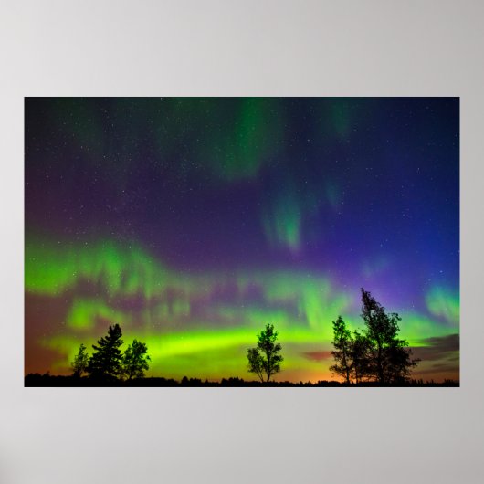 Poster Northern Lights | Manitoba Canada (Devant)