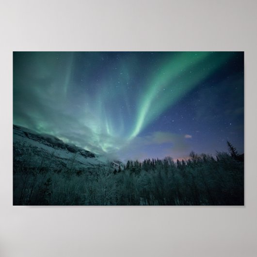 Poster Northern Lights North Norvège (Devant)