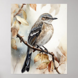 Poster Northern Mockingbird Bird Art Imprimer l'affiche