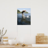 Poster Northern Pike sautant hors de l'eau dans un lac. (Cuisine)