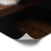 Poster Norvège Forest Kitten (Coin)