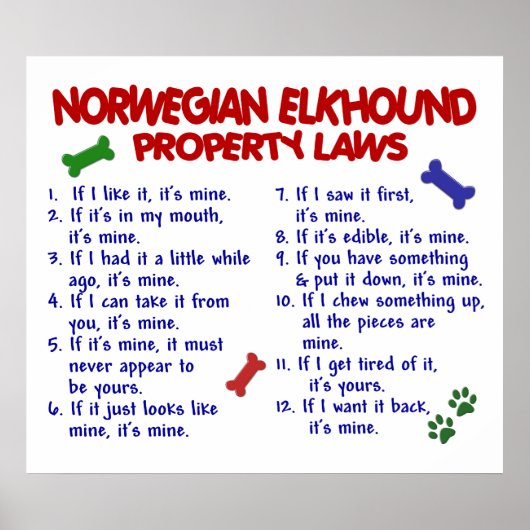POSTER NORVÉGIEN ELKHOUND PL2 (Devant)