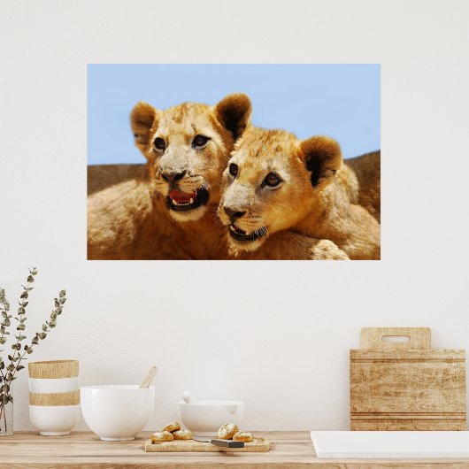 Poster Nos visages de lions mignons (Cuisine)