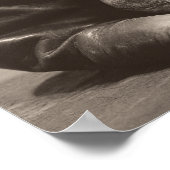 Poster Nostalgie du baseball - Mitt et Baseball (Coin)