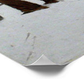 Poster Nostalgie occidentale (Coin)