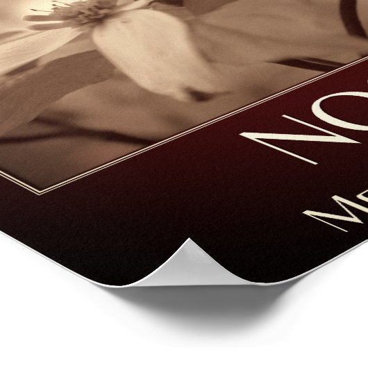 Poster Nostalgie Sepia Dogwood Fleur (Coin)