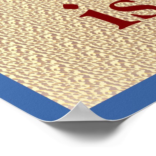 Poster Not a Problem Why Secret (Coin)