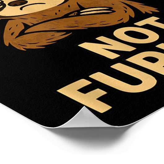 Poster Not Fast Not Furious, Funny Sltoh  (Coin)