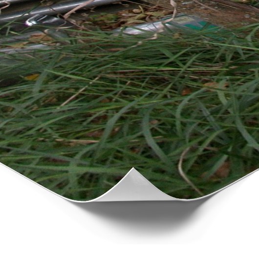 Poster Not Going Anywhere (Coin)