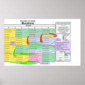 Poster Notable Mutations by Genetic Code of Amino Acids (Devant)