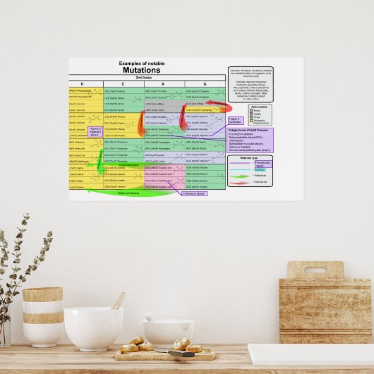 Poster Notable Mutations by Genetic Code of Amino Acids (Cuisine)