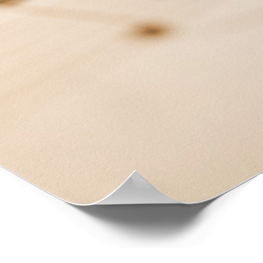 Poster Notes musicales 2 (Coin)