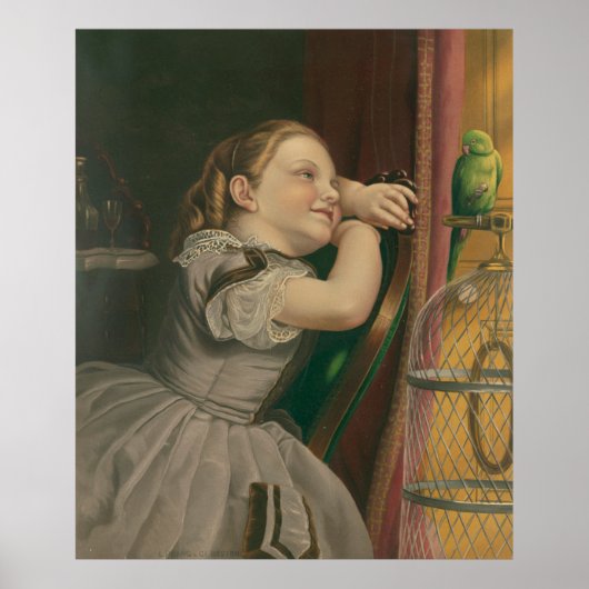 Poster Notre Animal Polly (Devant)