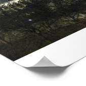 Poster Notre Dame (Coin)